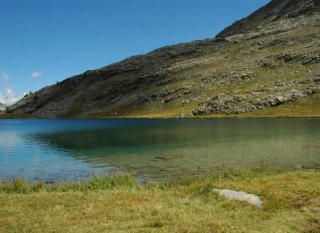  Camicrema de verano en los Alpes de Alta Provenza 